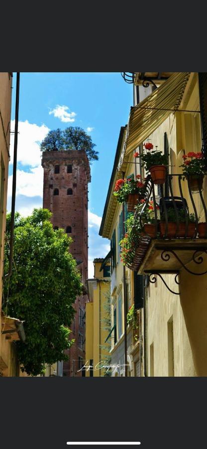 ホテル Casa Luba ルッカ エクステリア 写真